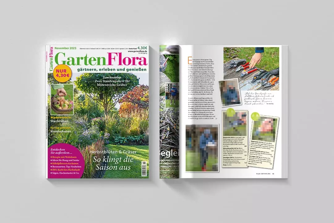 Vorschau GartenFlora November-Ausgabe 2023